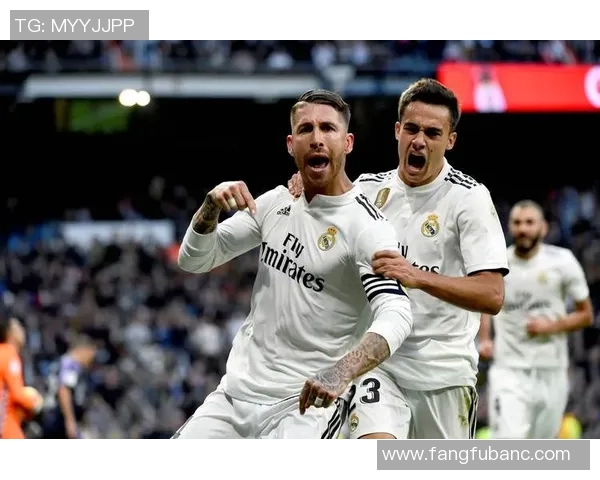 荷兰足球球星前锋成长之路与绿茵场上的辉煌瞬间